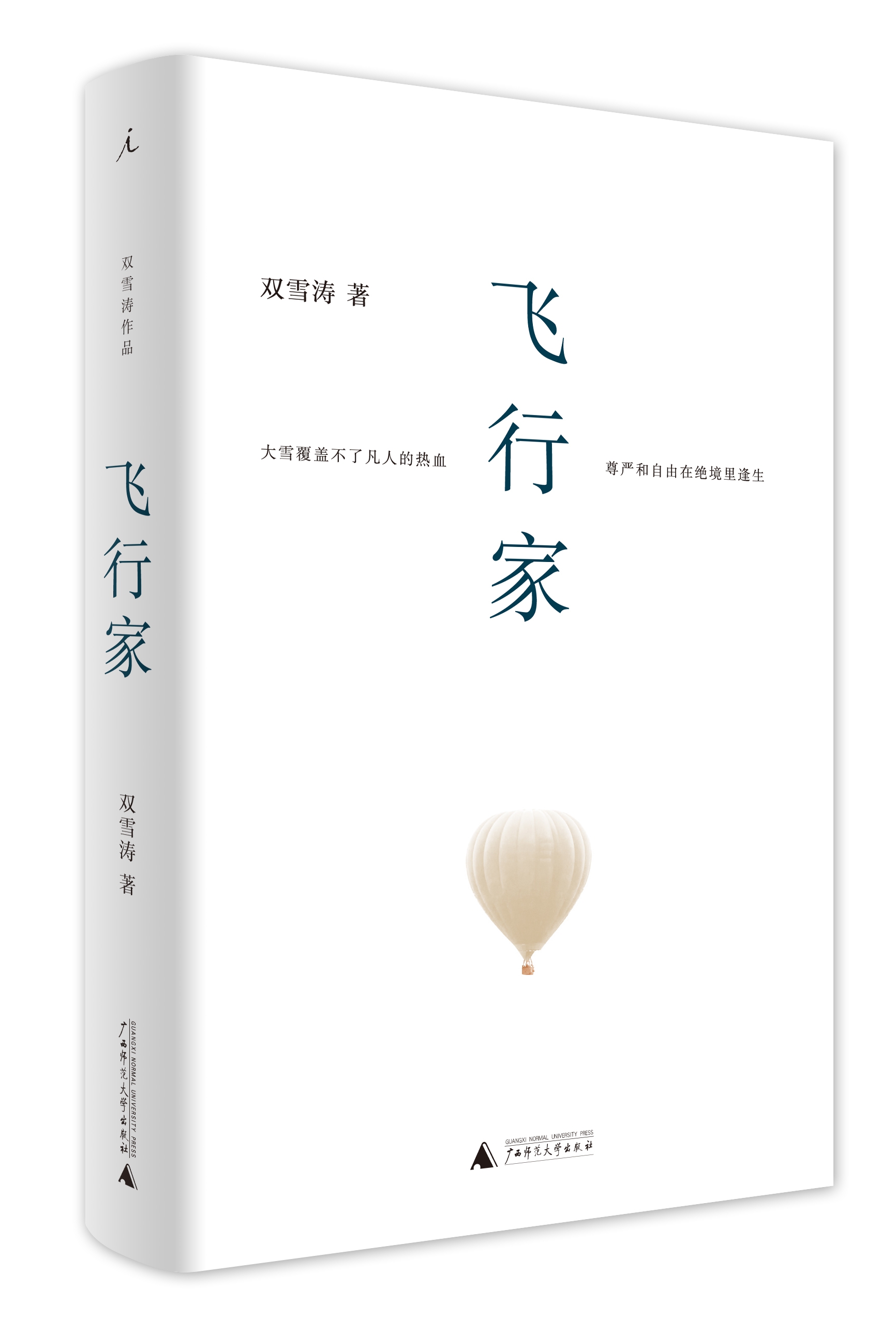 《飞行家(精)》双雪涛著【摘要 书评 在线阅读】-苏宁易购图书