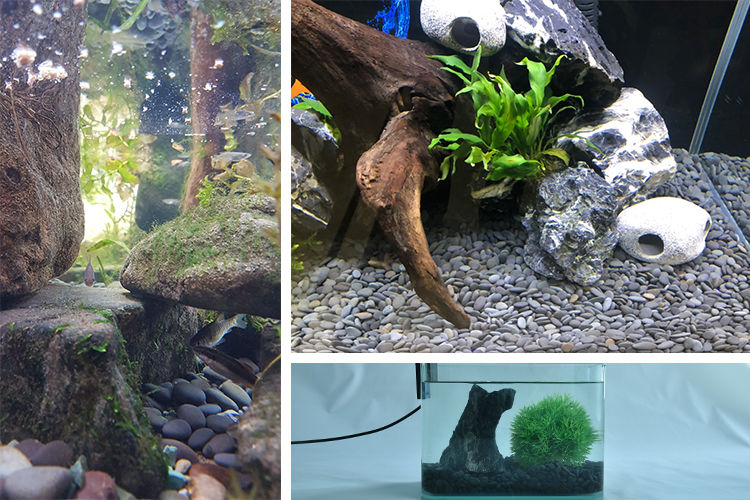 铁胆沙黑工沙天然五彩石绿玉石多肉铺面鱼缸造景园艺造景五彩石0305