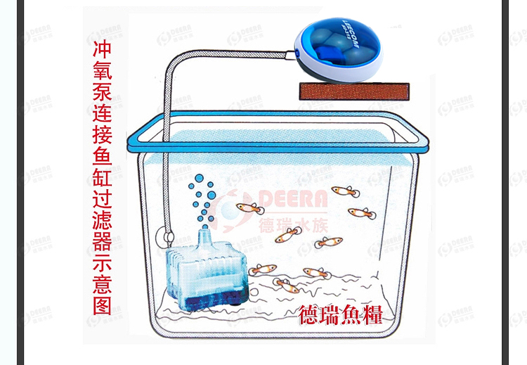 小型魚缸過濾器水妖精反氣舉迷你淨化水族箱圓形養魚吸便配氣泵用