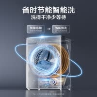 小天鹅滚筒洗衣机v23全自动变频10公斤大容量家用羽绒服洗除菌除螨 TG100V23PRO [洗净比1.1新款]
