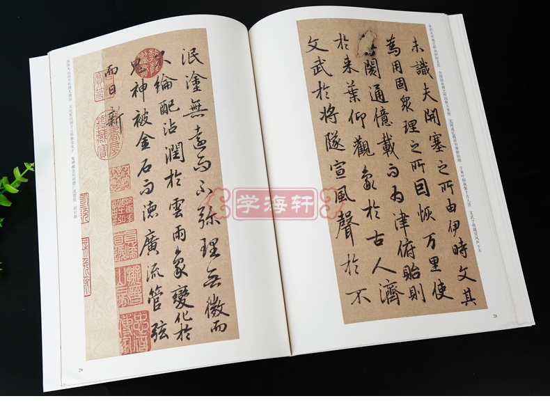 唐陸柬之文賦簡體旁註歷代碑帖行書毛筆字帖薛元明古帖學生成人練字