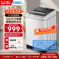 威力(WEILI)12公斤大容量家用波轮洗衣机全自动13分钟速洗量衣判水 一键桶风干防锈箱体 XQB120-1699X