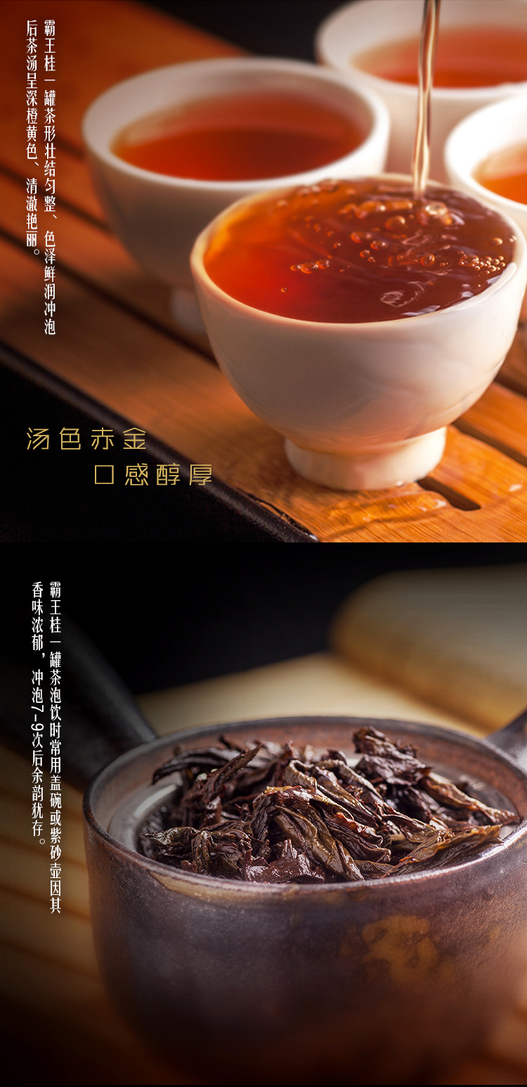 霸王桂 武夷正岩肉桂一罐好茶 单罐装 武夷岩茶 功夫茶