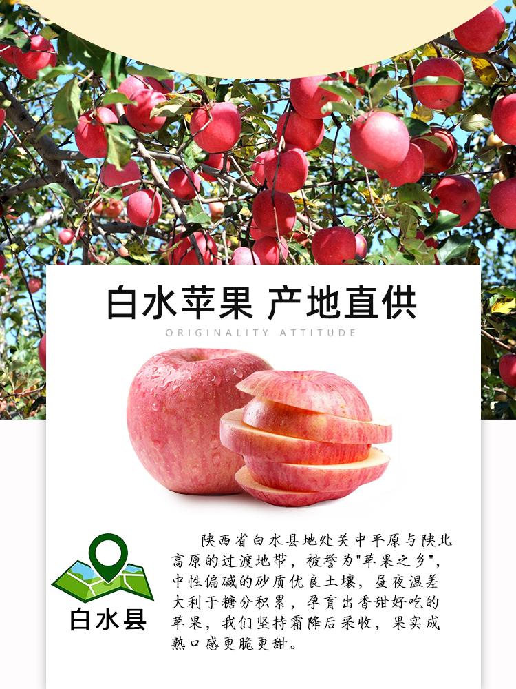 鲜木苹果类 鲜木 陕西白水红富士苹果 精选5/9斤装 脆甜多汁 新鲜当季