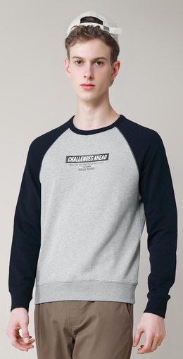 超级新品 堡狮龙男装印花卫衣男连帽长袖潮流学生秋季510353020