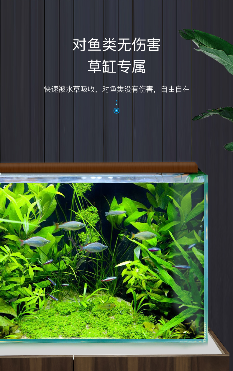 茉写宠物日用yee水营养液综合液肥鱼缸水族箱肥料抑藻防烂根叶不伤鱼促长 价格图片品牌报价 苏宁易购玖信宠物用品专营店