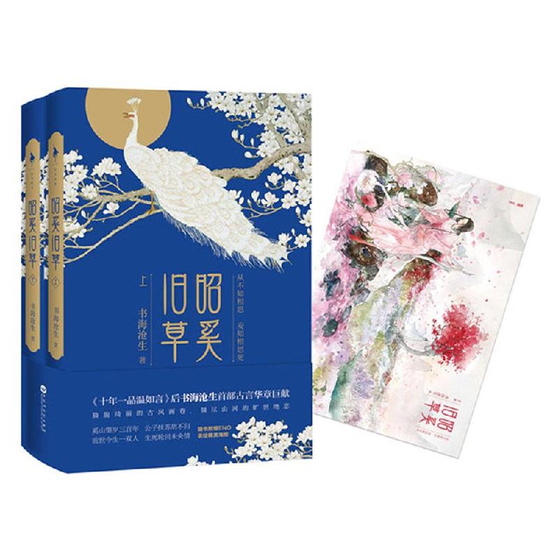 正版 昭奚旧草书海沧生9787550012189百花洲文艺出版社 书籍