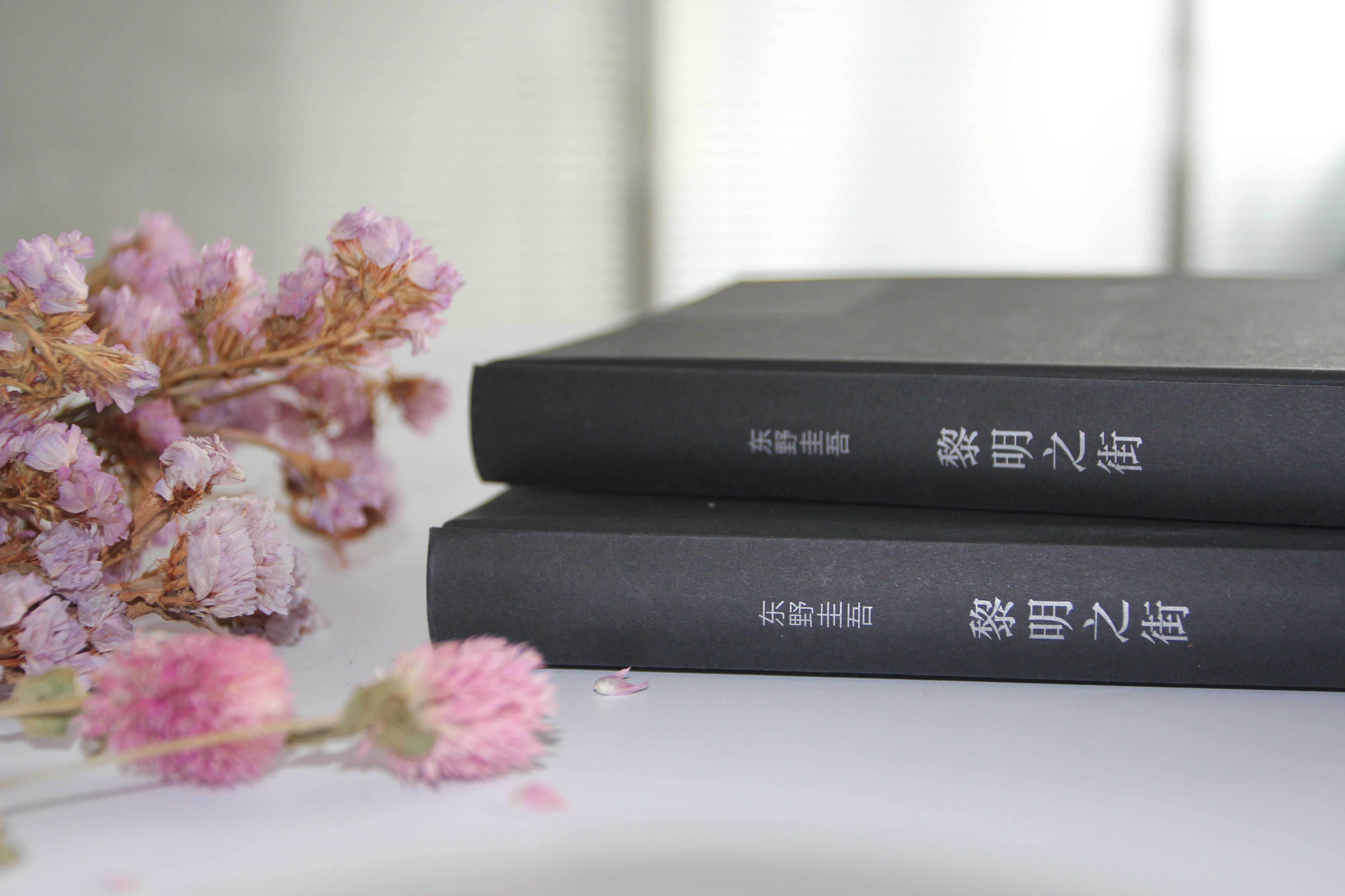 [颜系图书]黎明之街(精) 东野圭吾突破之作小说集精装全套悬疑推理