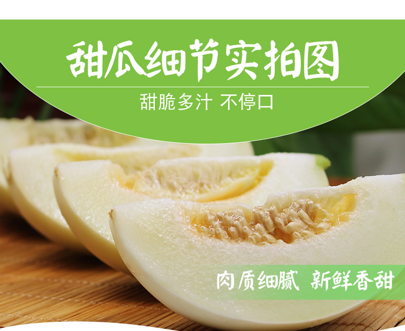 新鲜阎良甜瓜455斤36个装小籽甜瓜小香瓜