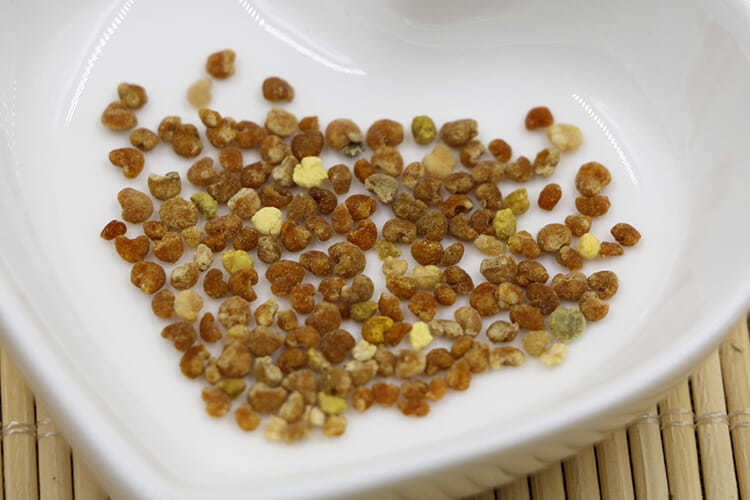 默认长白山野生黄菠萝树花粉天然黄柏花粉蜜蜂花粉500g瓶