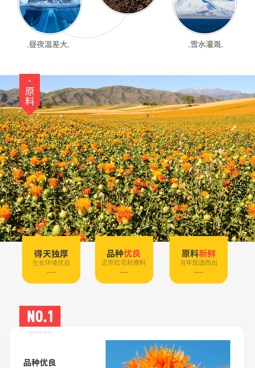 中粮塔原红花籽油5l4瓶一箱装新疆红花物理压榨一级植物油