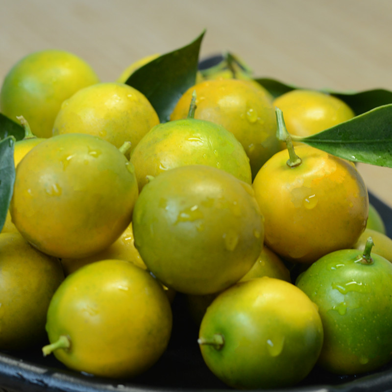 有检疫证泰国进口脆皮金桔6盒约5斤礼盒装小金橘新鲜水果