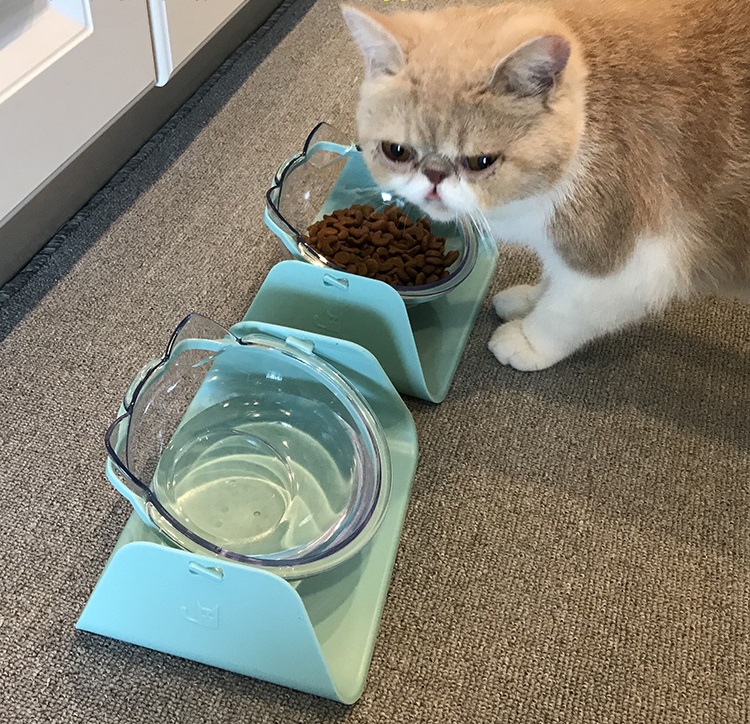 猫饭盆斜口猫碗双碗猫粮碗猫食盆猫盆倾