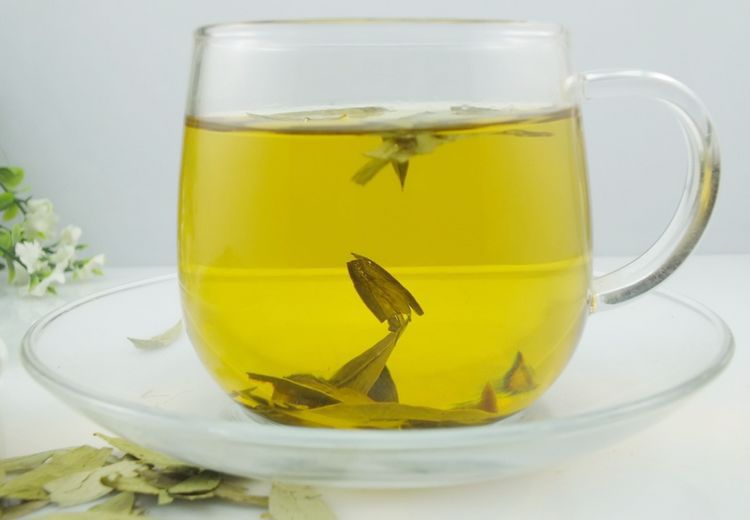 超级新品 新货 番泻叶 免邮 番泻叶粉天然番茄叶藩翻泻叶材香泻叶500