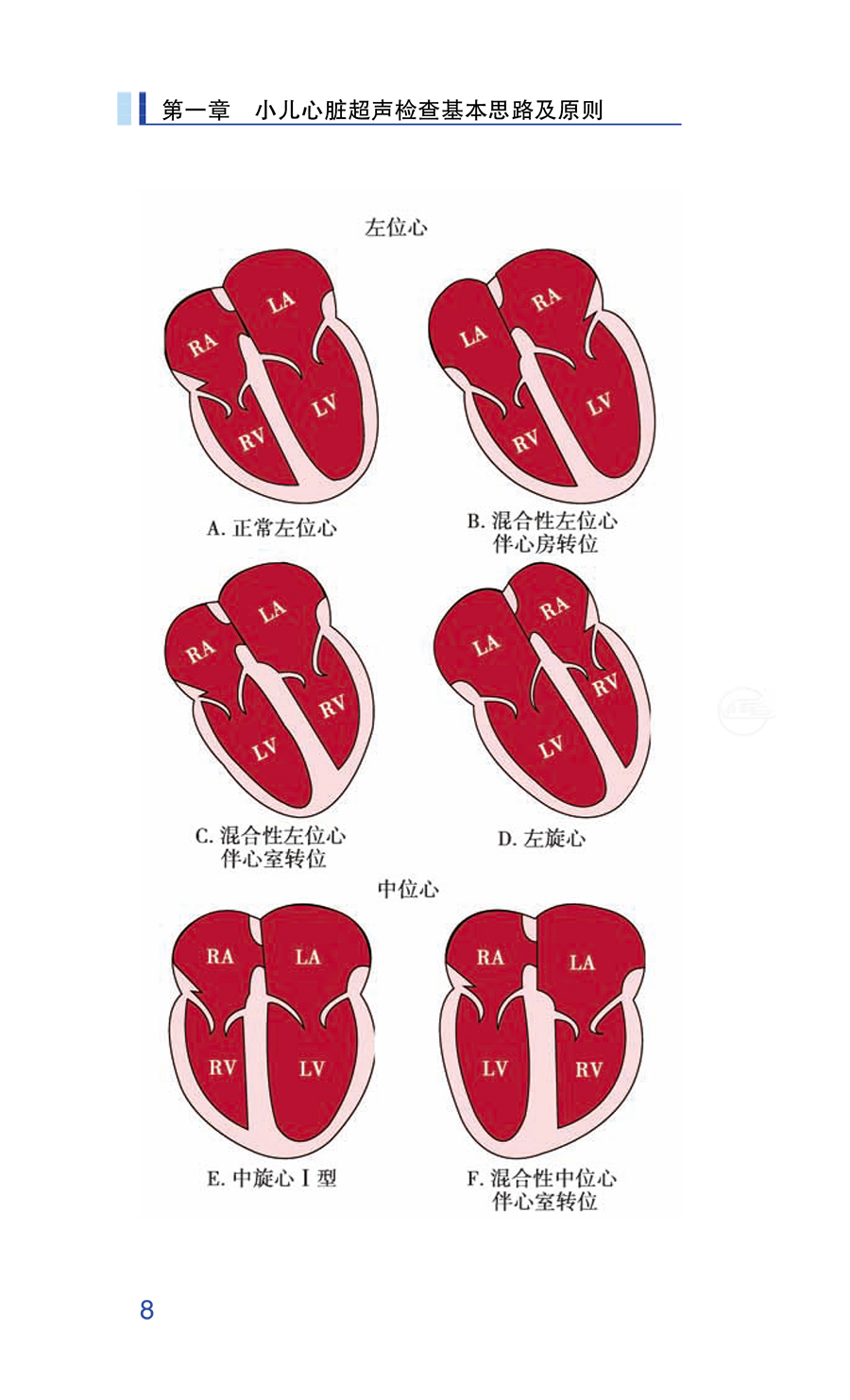 小儿先天性心脏病超声规范化检查指导手册贺新建主编小儿超声心动图