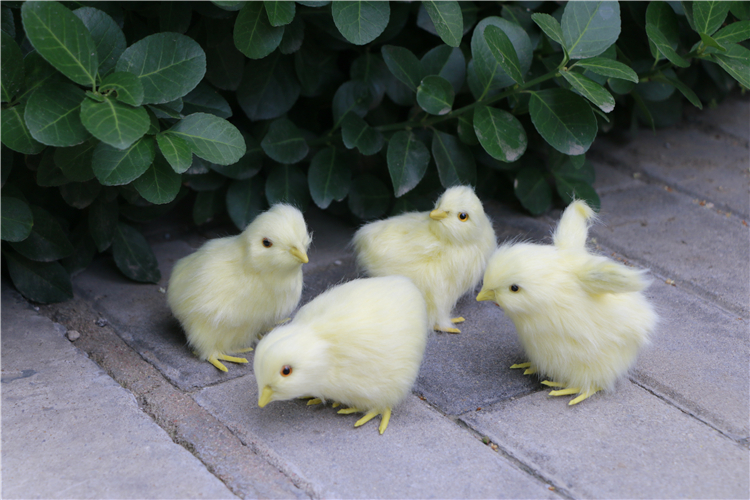 仿真动物小鸡仔小雏鸡创意玩具可爱玩偶叽叽叽会叫小雏鸡摆件