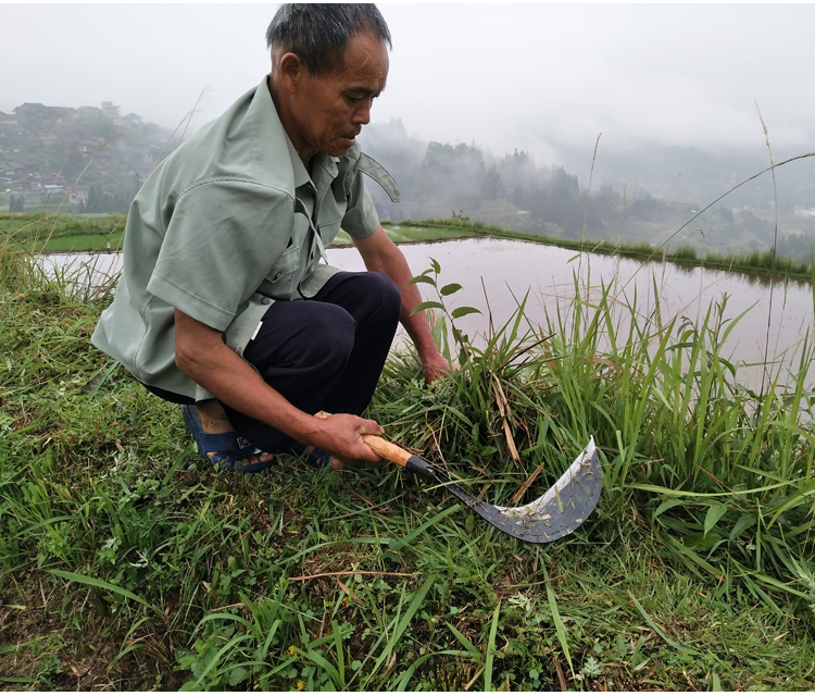 jing ping手工锻打夹钢农用镰刀割草刀家用农用链刀镰刀除草多功能