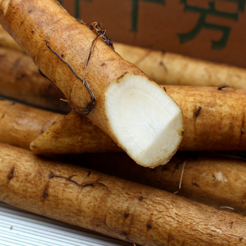 新鲜牛蒡5斤装牛蒡苍山根蔬菜牛旁牛蒡菜牛蒡茶的原料可开发票