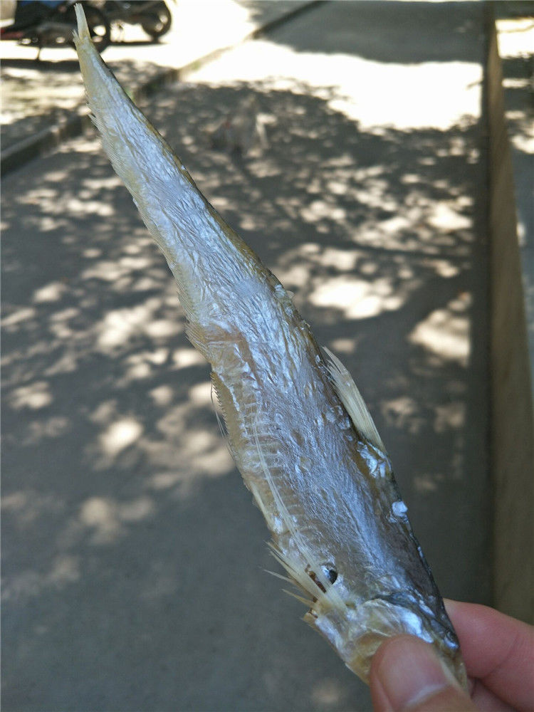 500克湖北特产毛鱼毛刀鱼野生清水干货小鱼干凤尾鱼无盐长江刀鱼野生