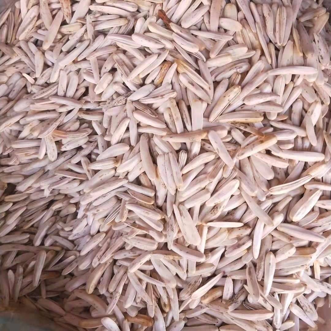 牙签瓜子新疆特产牙签马牙葵花籽葵生瓜子白皮新货皮薄仁酥新货原味