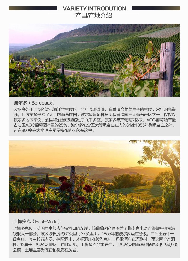 拉图嘉利庄园 法国1855四级庄进口红酒 干红葡萄酒正牌2018年750ml*js