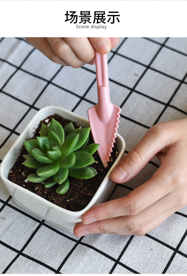 多肉植物种植工具园艺三件套装组合喷壶气吹铲子铲桶镊子盆栽工具粉色