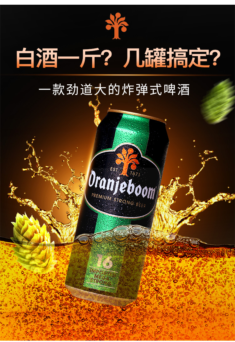 德国进口oranjeboom橙色炸弹16度啤酒烈性高度强劲啤酒24罐
