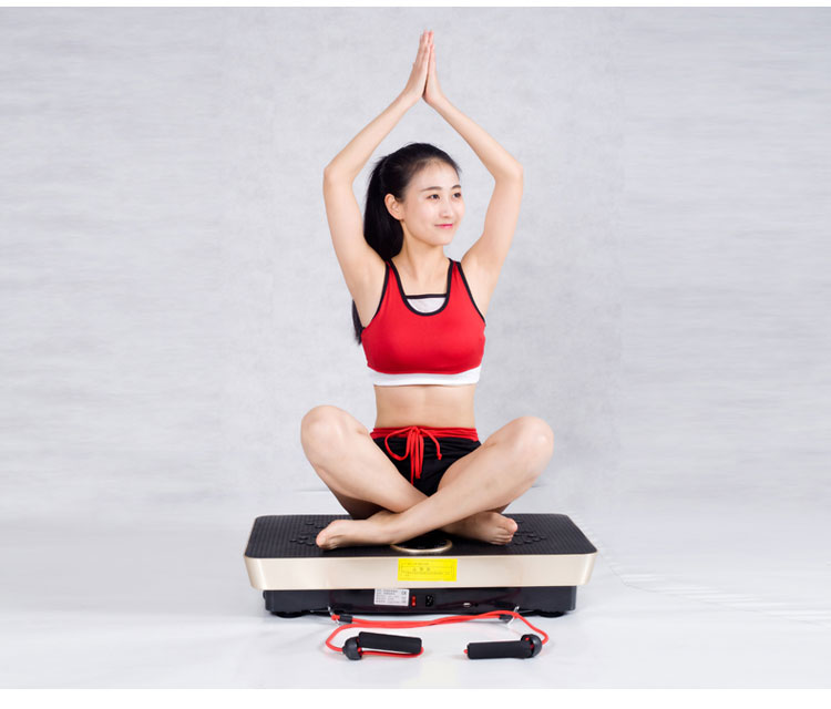 腾尔迈甩脂机型动派懒人音乐甩脂机音乐器材震动抖抖运动塑身机全身甩