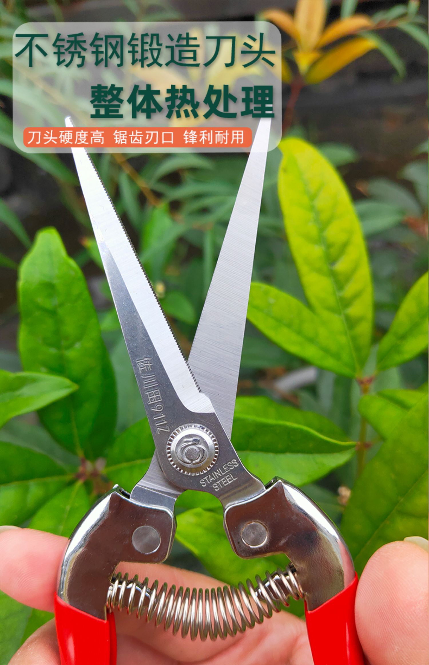 jing ping采果剪葡萄稀果剪疏花剪修花枝剪柑橘桔子蔬果采摘摘果剪刀