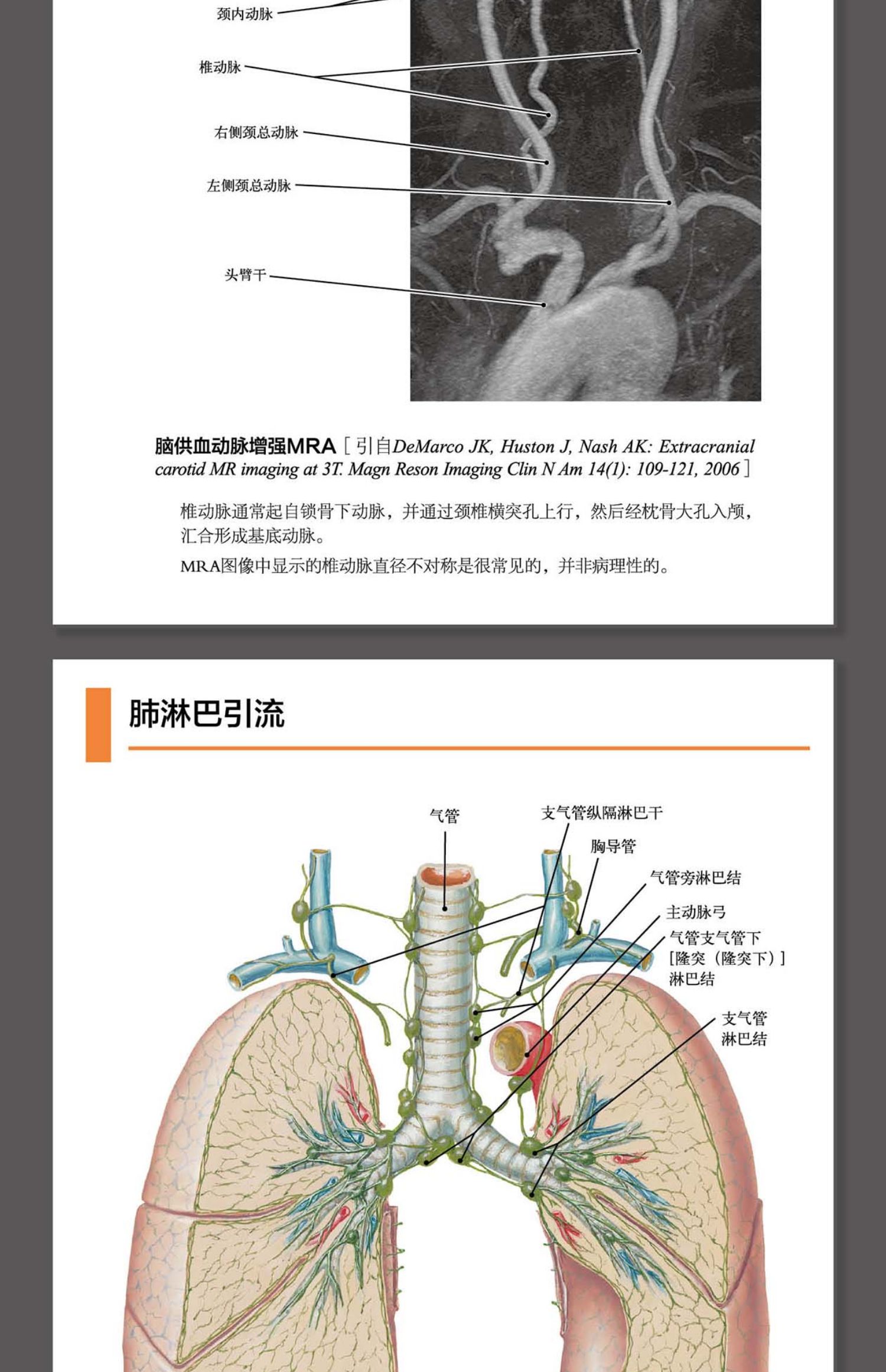 【颜系图书】奈特影像解剖学图谱》无著【摘要 书评 在线阅读】