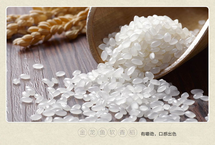 金龙鱼苏北大米软香稻10kg