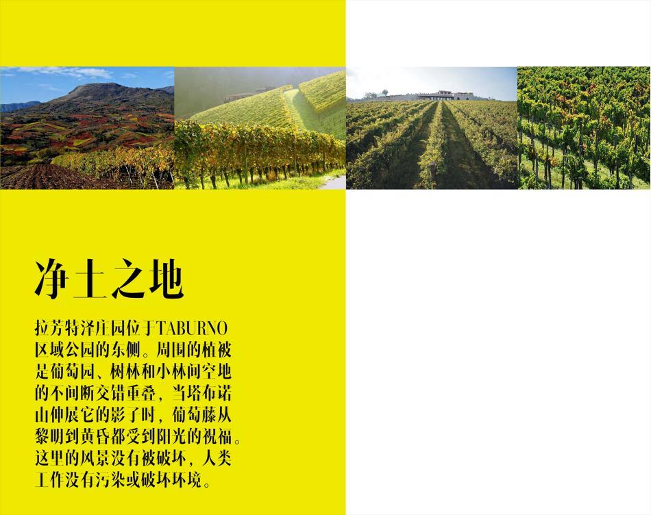 意大利la fortezza拉芳特泽珍藏红葡萄酒750ml14°进口红酒 进口葡萄