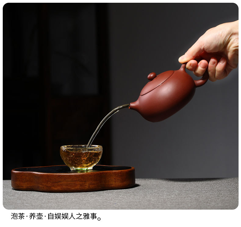 宜兴扁西施紫砂壶原矿紫泥杨飞楠半手工茶壶