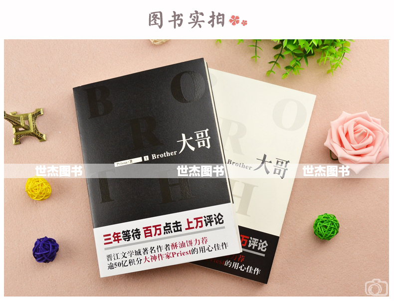 正版 大哥小说 上下册全套2册 priest p大正版番外篇完整版晋江文学