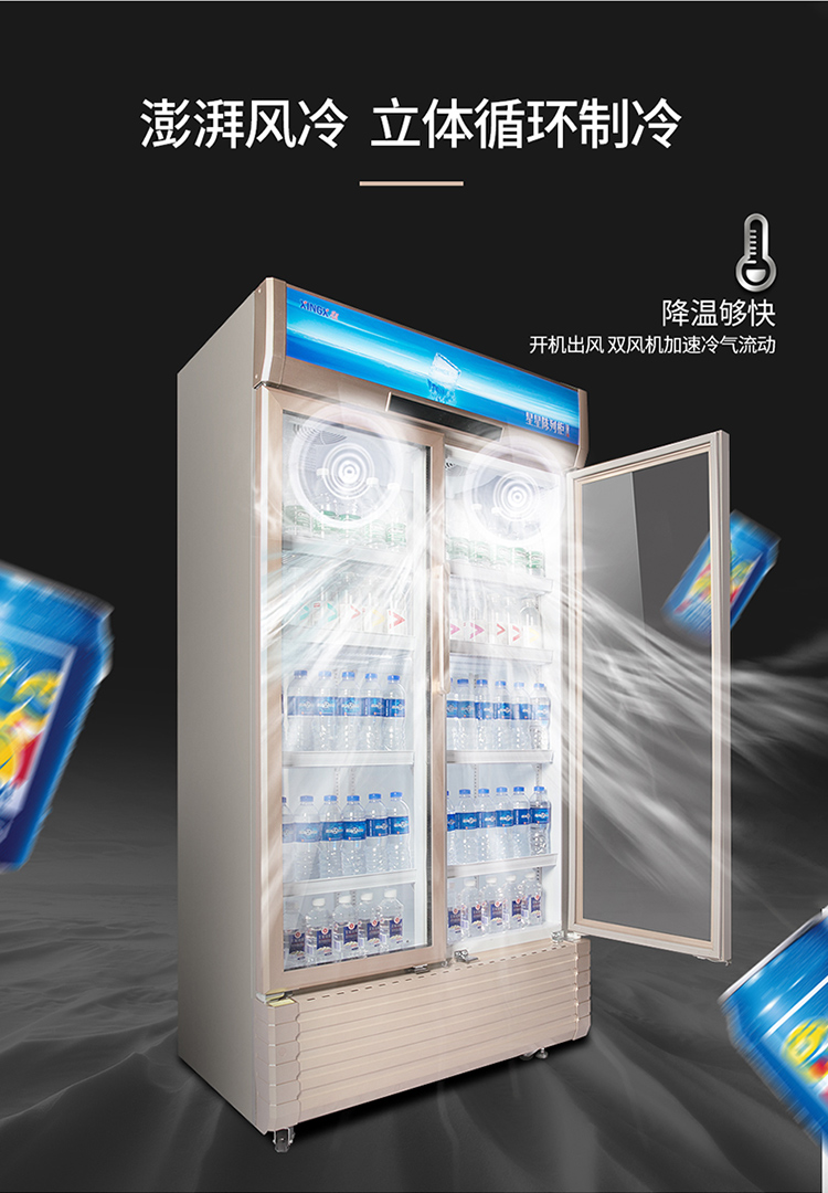 星星xingxlsc610wd610升商用风冷饮料展示柜双门立式冷藏保鲜柜电子