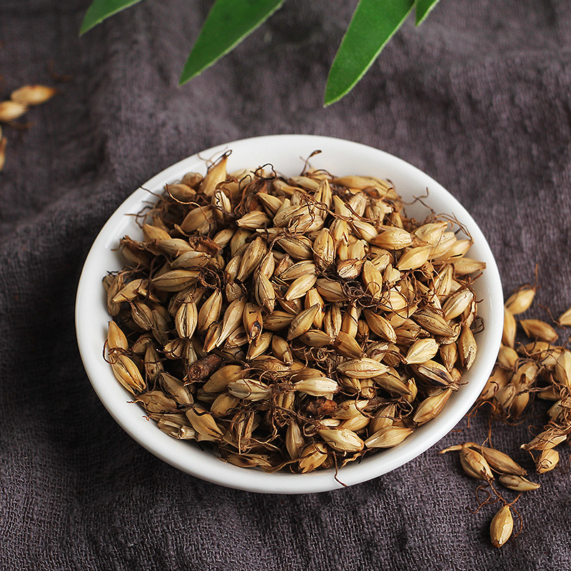 谯韵堂花茶麦芽茶生麦芽炒麦芽茶麦回另有山楂断奶th036th036炒麦芽茶