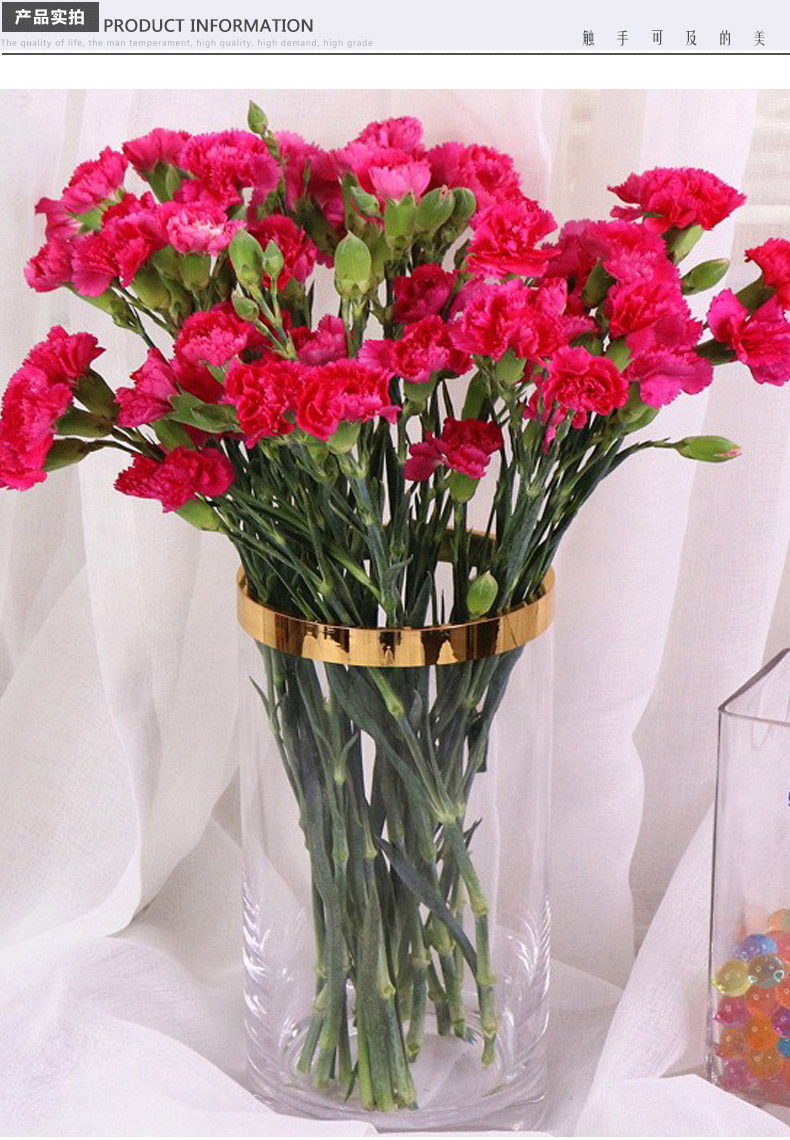 云南多头混色康乃馨鲜花基地直采不含花瓶