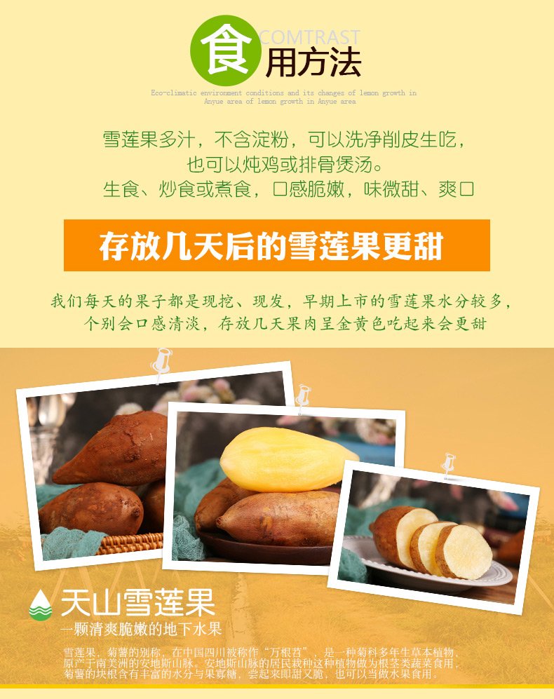 靓果汇天山雪莲果脆甜多汁单果100g