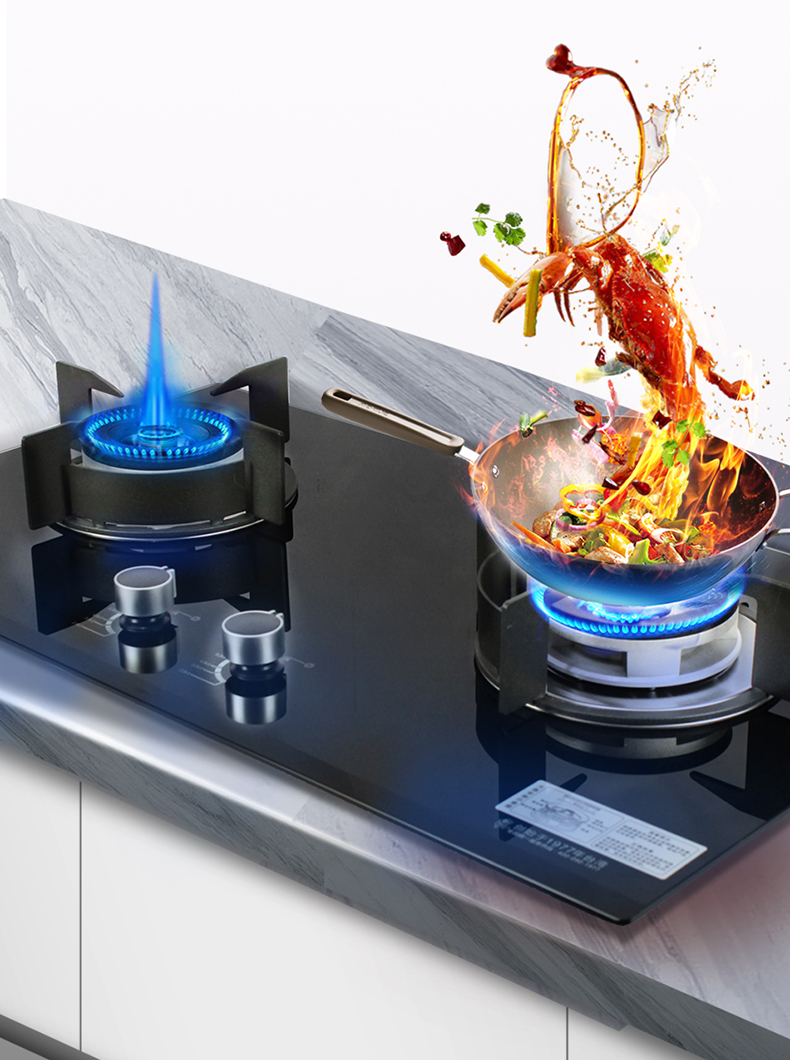 百吉燃气灶eg8702燃气灶天然气双眼灶灶具家用台式嵌入式台嵌两用双灶