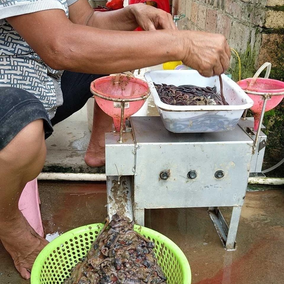 定做12v全自动蚯蚓开肚机220v大功率地龙破肚机双刀模开腹机免调刀12v