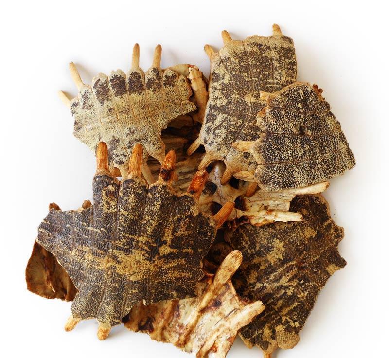 米囹食用油 ix鳖甲制鳖甲炒鳖甲炙鳖甲鳖甲醋鳖甲250