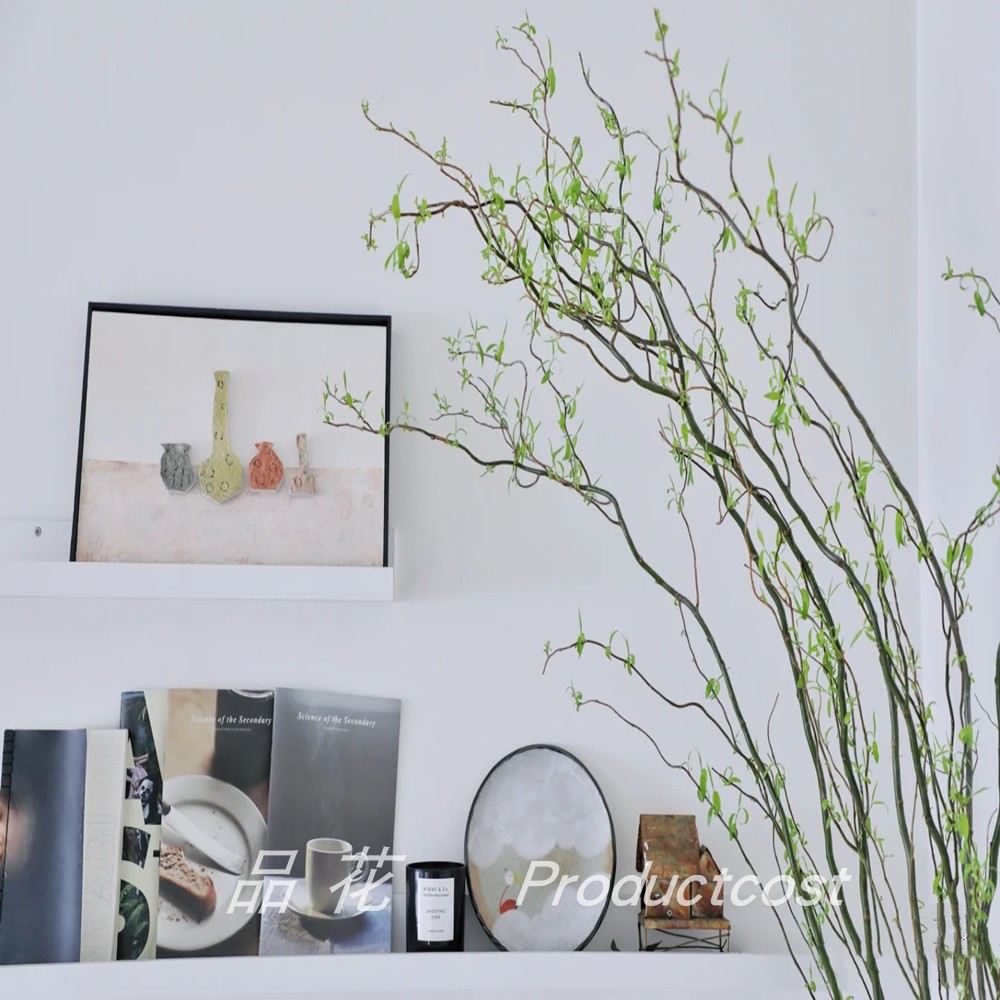 《室内大型水培植物龙柳四季常青水养绿植水养鲜切柳枝条大型好养花》