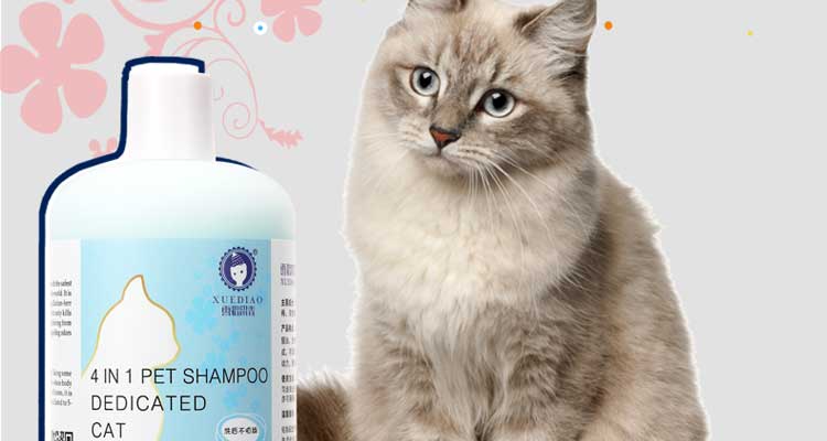 雪貂留香宠物洗护美容 雪貂留香猫多爱 猫咪通用300ml沐浴露 猫咪沐浴