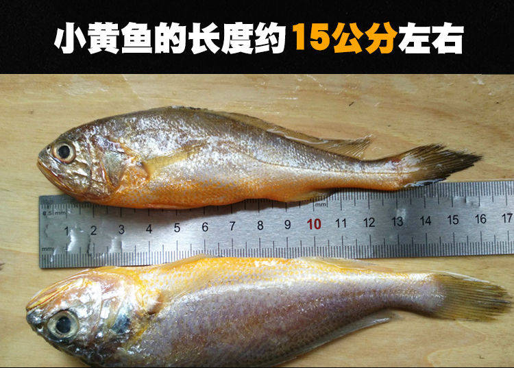 中国大陆/浙江省/舟山市鱼肉部位:鱼头种类:黄鱼/黄花鱼类别:鱼肉国产