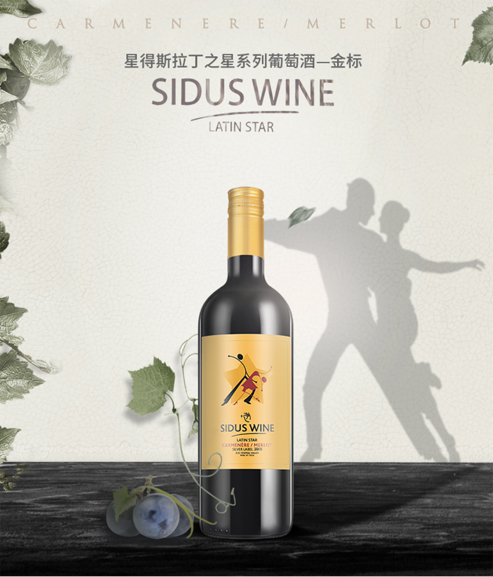 星得斯拉丁之星金标智利原瓶进口红酒13度赤霞珠干红葡萄酒750ml *6