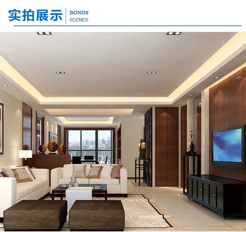 led双头筒灯天花灯双孔双筒灯纳丽雅长方形斗胆灯筒灯20 10嵌入式格栅