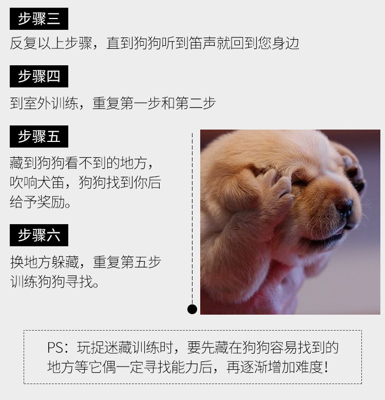 训狗教程响片训练器宠物零食腰包口令犬笛飞盘玩具耐咬球训犬套装