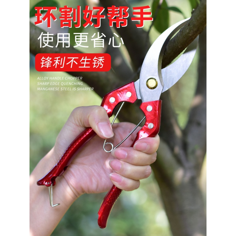 葡萄柑橘枣树苹果树环割工具环割剪果树环割环剥器环剥刀环剥剪 红色