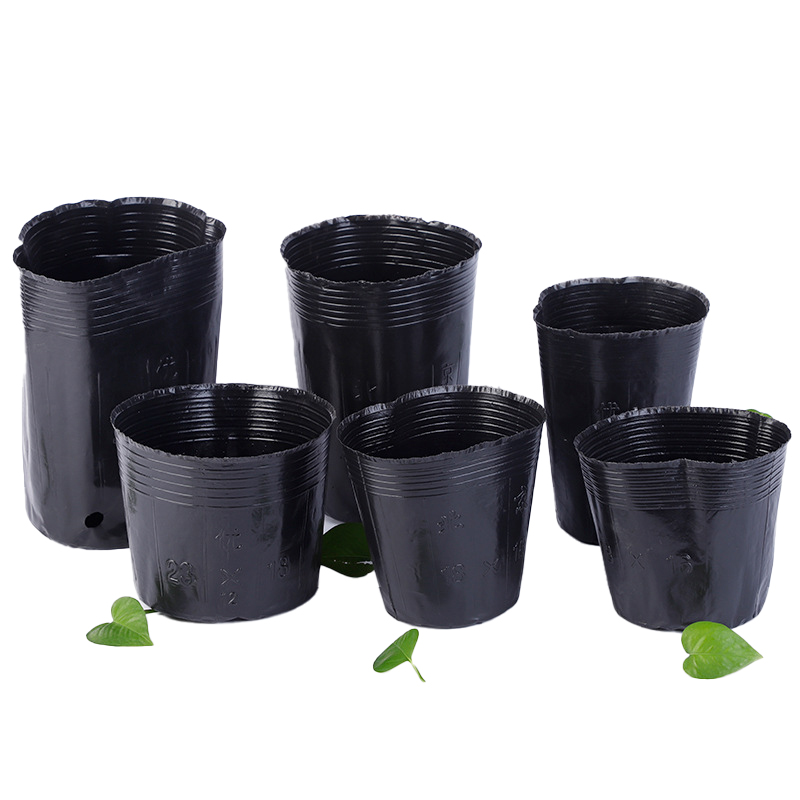 塑料育苗杯园艺植物营养钵加厚pe花卉育秧盆16142000个包