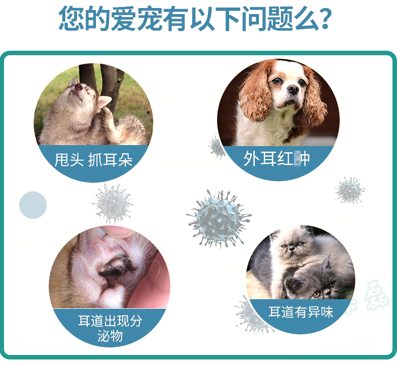 菲利罗斯宠物保健那非普耳力克全效滴耳液g 宠物狗猫犬耳朵耳螨细菌真菌感染中外耳炎 价格图片品牌报价 苏宁易购果磊宠物用品专营店